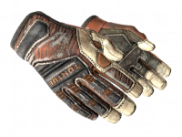 ★ Specialist Gloves Tiger Strike